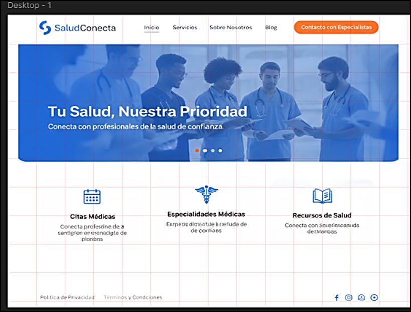 Análisis SaludConecta - Jakob Nielsen